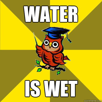 Water is Wet Meme